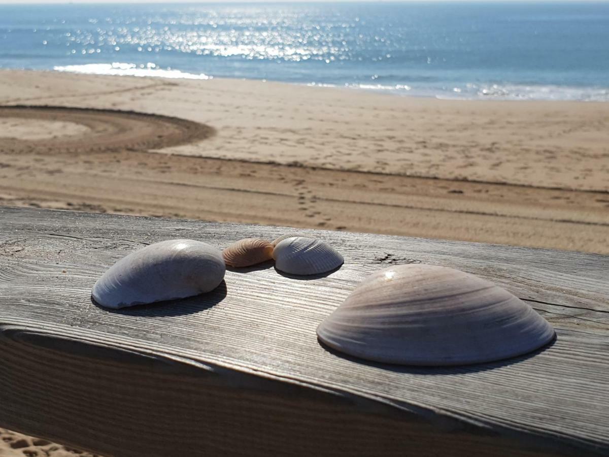 Algarve Beachfront Alvor Luaran gambar